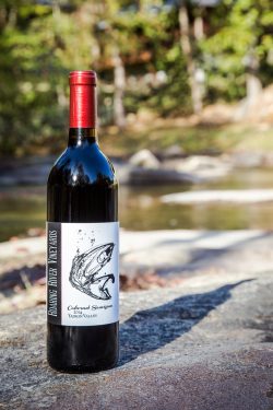 Cabernet Sauvignon- A dry red aged in french oak barrel which gives savory notes.