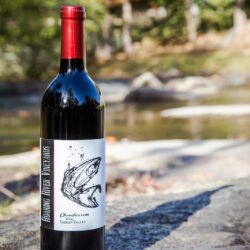 Chambourcin- Dry red with a firm body and deep berry and black cherry notes.