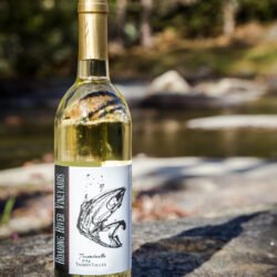 Semi-sweet white wine with bright notes of citrus and grapefruit.