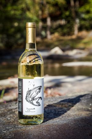 Semi-sweet white wine with bright notes of citrus and grapefruit.