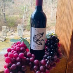 Dry red wine with a smoked blueberry jam finish.