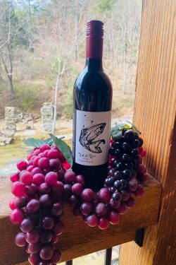 Dry red wine with a smoked blueberry jam finish.